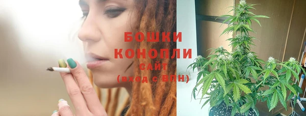 кокс Арсеньев