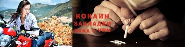 кокс Арсеньев