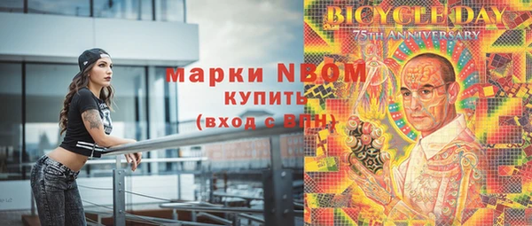 кокс Арсеньев